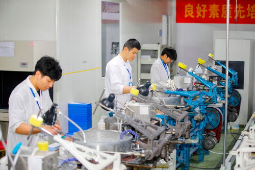 多措并举促发展 金融活水精准浇灌计算机系统服务科创之花